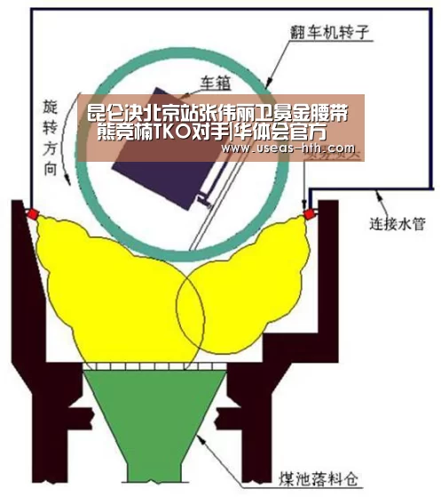 华体会网站
