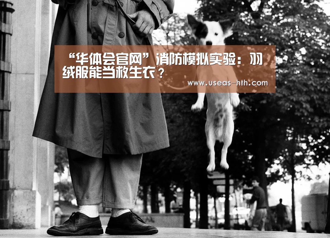 华体会网站