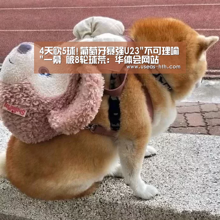 华体会官网
