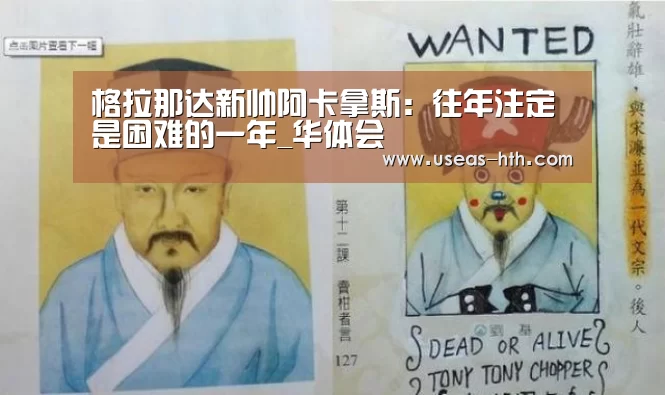 华体会体育