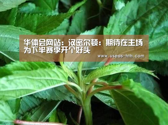 华体会网站