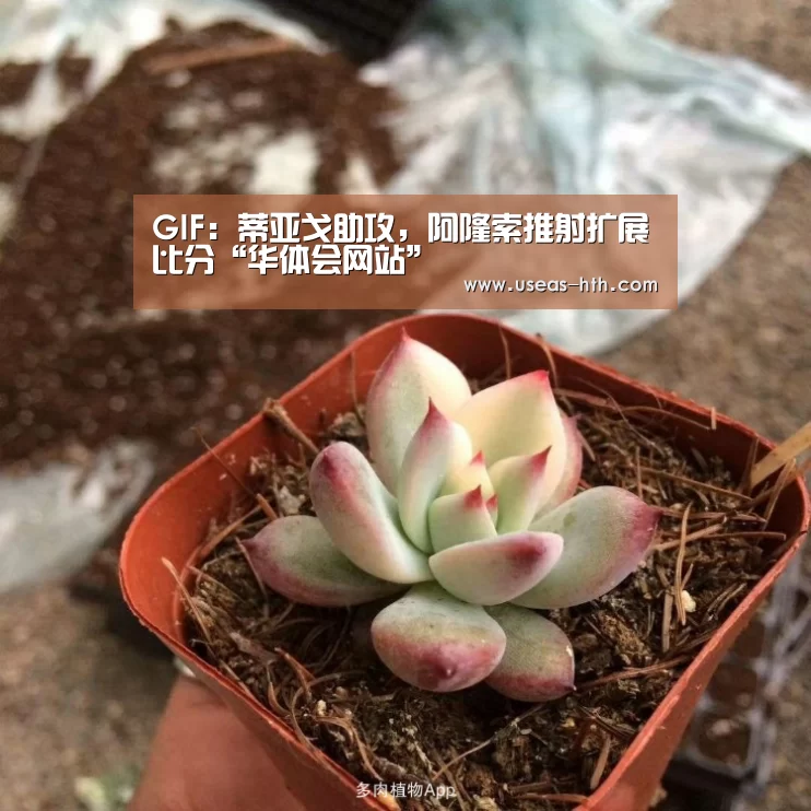 GIF:蒂亚戈助攻,阿隆索推射扩展比分“